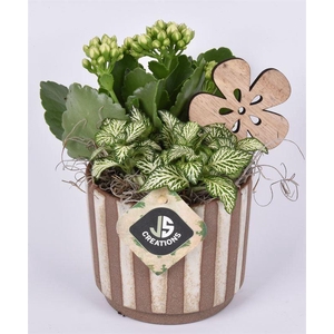 Keramiek safari look 11cm