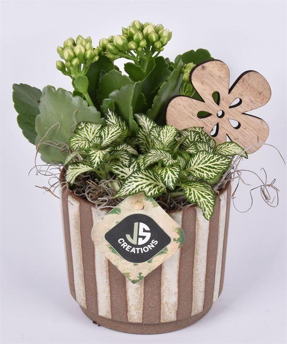 <h4>Keramiek safari look 11cm</h4>