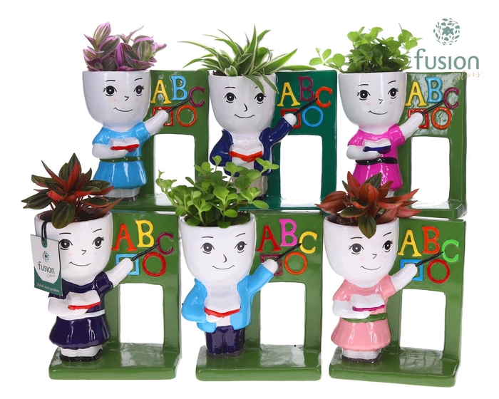 <h4>Keramiek back to school met Groenen planten mix</h4>