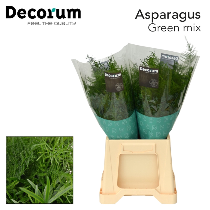 <h4>Asparagus Mix in Bunch</h4>