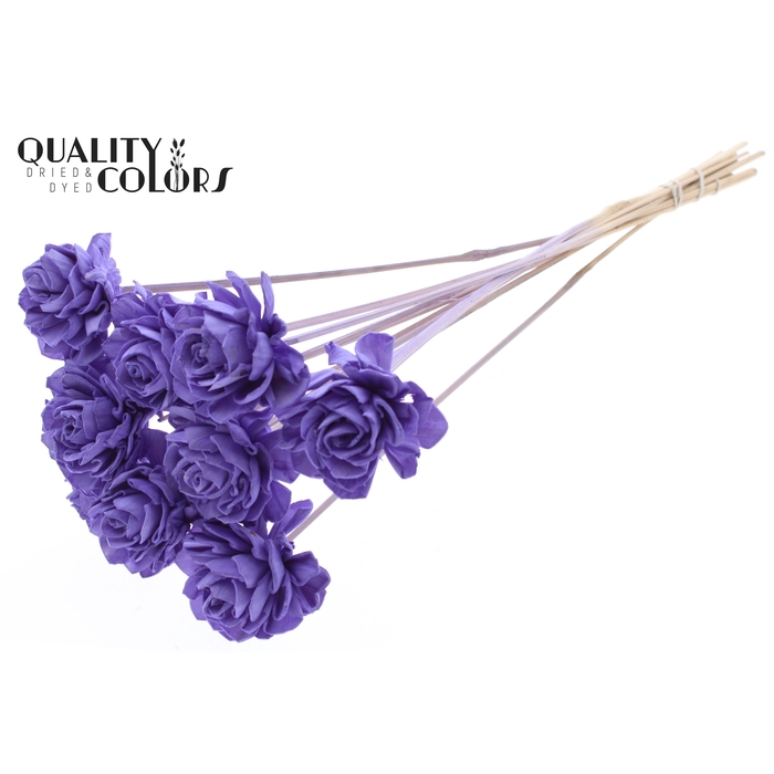 <h4>Shola Dahlia 6cm on stem Milka</h4>