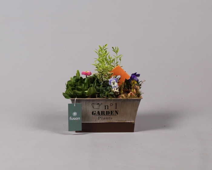 <h4>Pasen zinken pot vierkant met Tuinplanten Arrangem</h4>