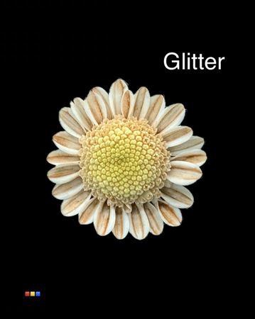 <h4>Chr T Stallion Dusty Latte + Glit Bio</h4>