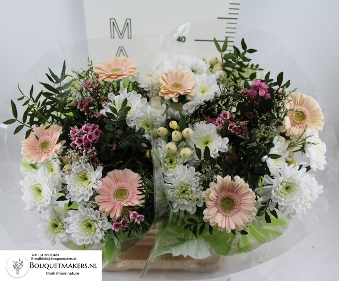 <h4>GEM BOEKET OV</h4>