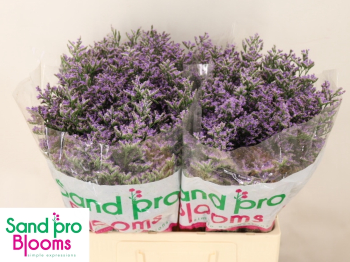 <h4>LIM OV SKYLIGHT</h4>