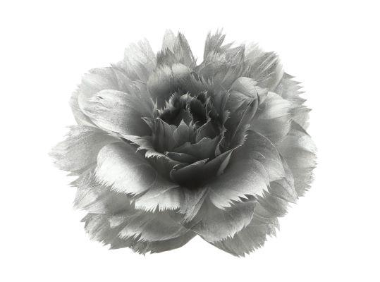 Feather Rose Clip H8D11