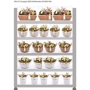 Mix CC Voorjaar Bollenmix