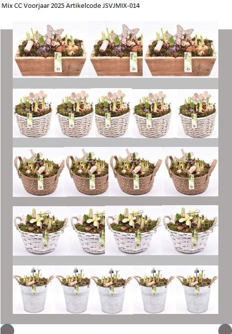 <h4>Mix CC Voorjaar Bollenmix</h4>
