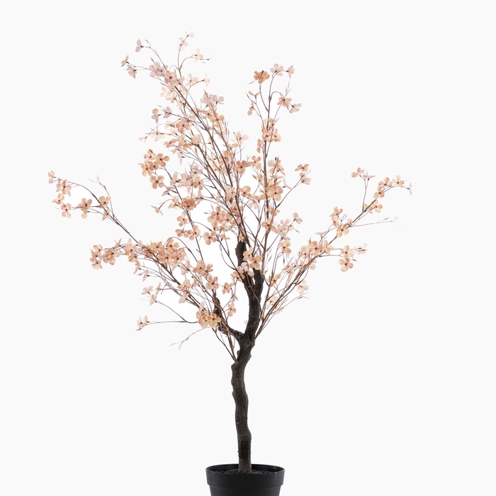 <h4>Blossom Tree in Pot Peach PP550060PEA</h4>