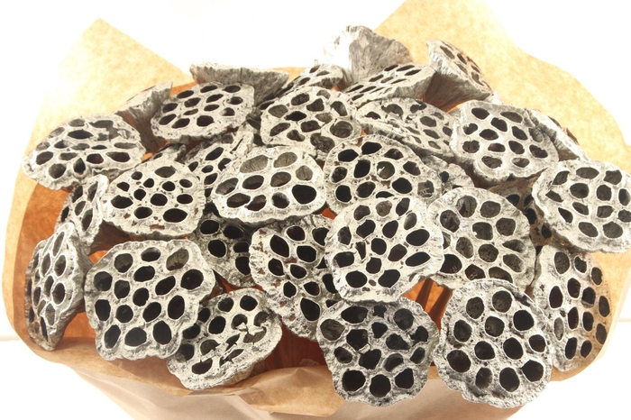 <h4>Lotus On Stick Silver</h4>