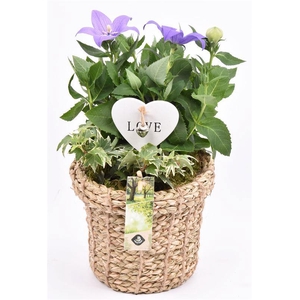 Touwmand met rand 17cm