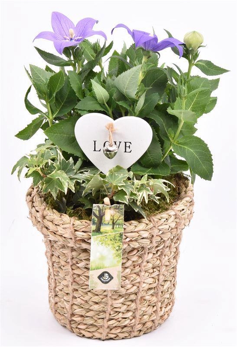 <h4>Touwmand met rand 17cm</h4>