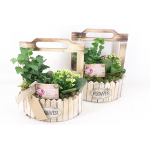 arr2 TD - Hout planter half rond - roze/wit