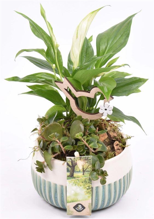 <h4>Keramiek schaal met strepen 12cm</h4>