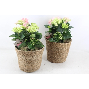 arr4 Outdoor MB - Mand rond naturel hort