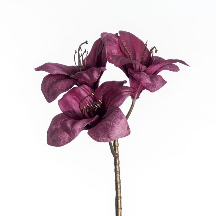 <h4>AF Amaryllis x3 L57cm Magenta</h4>