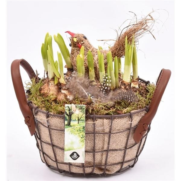 <h4>Gaasmand met jute 21x15.5cm</h4>