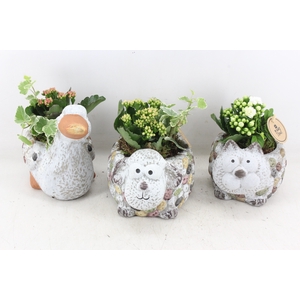 arr2 PL - Dierenmix x6 - mix