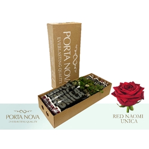 R Gr Red Naomi Unica Box