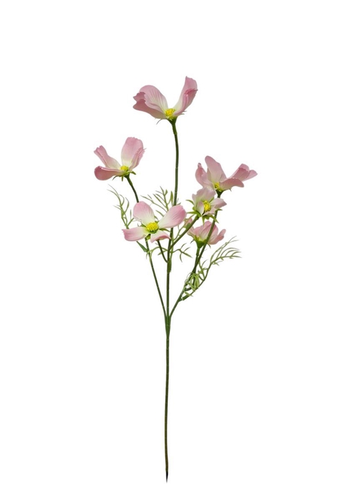 <h4>AF Cosmos spray L60cm l.pink</h4>