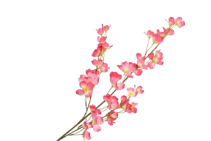 <h4>Silk Wolfberry Pink 106cm</h4>