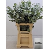 EUC CINEREA PER STEEL SUPER-IT-