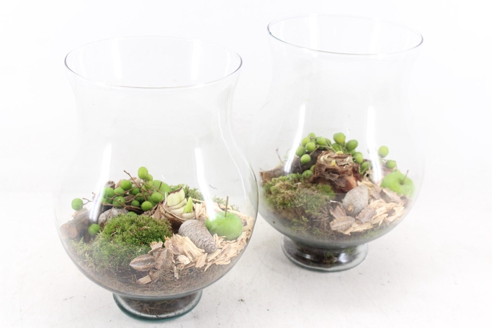 <h4>arr4 Amaryllis MB - Glas coupe L 999/3</h4>