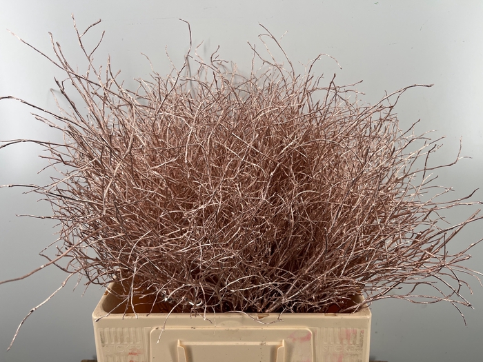 <h4>VACC KLB H%</h4>