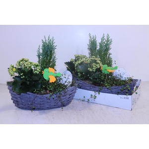 ARR TUINPLANTEN