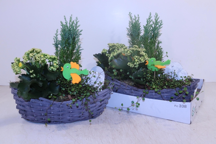 <h4>ARR TUINPLANTEN</h4>