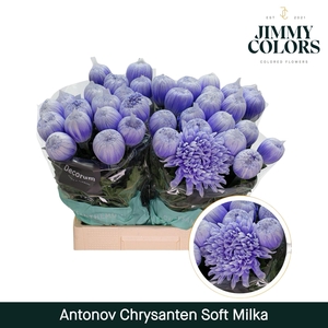 Chr G Antonov Soft Milka