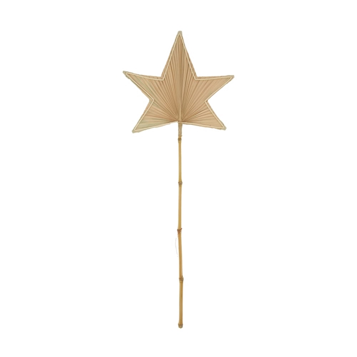 <h4>Opruiming Kerst Palm Leaf ster d29*77cm</h4>