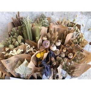 Display Dried Flowers Cons Slv L50