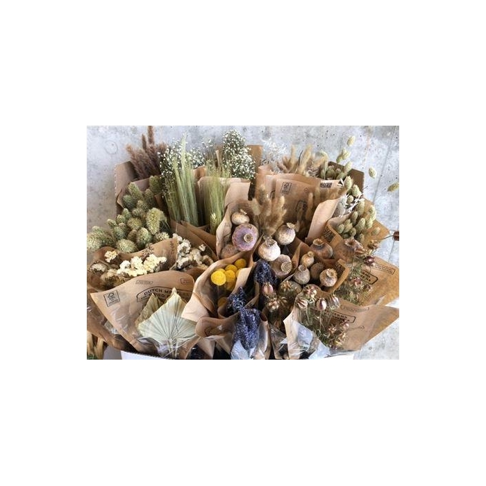 <h4>Display Dried Flowers Cons Slv L50</h4>