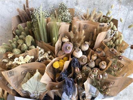 Display Dried Flowers Cons Slv L50