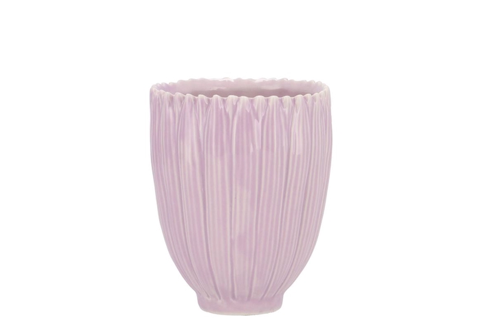 <h4>Bloom Daisy Dreamy Purple Cup 8x8x9cm</h4>