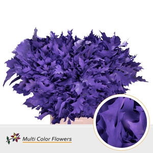 Eik Grof Violet Donker