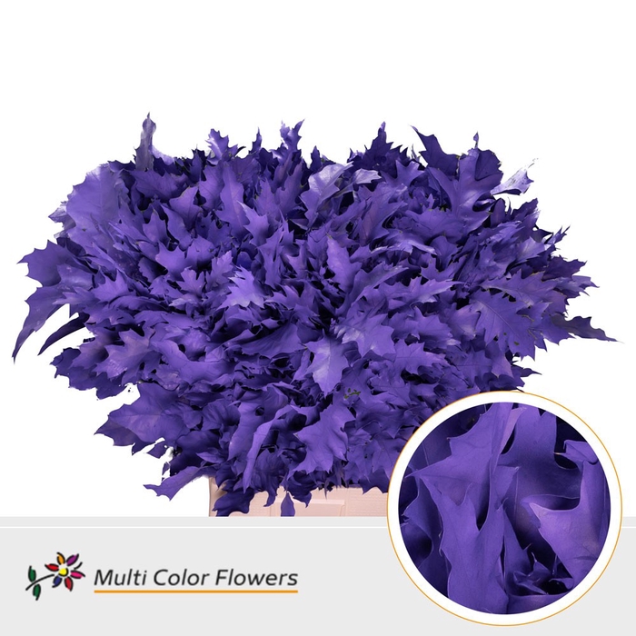 <h4>Eik Grof Violet Donker</h4>