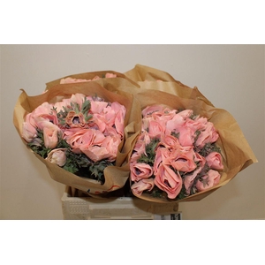 Anem Marianne Powder Salmon