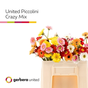 Ge Na Piccolini Crazy Mix