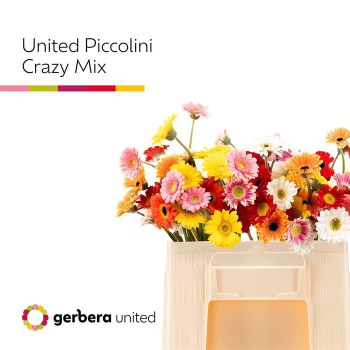 <h4>Ge Na Piccolini Crazy Mix</h4>