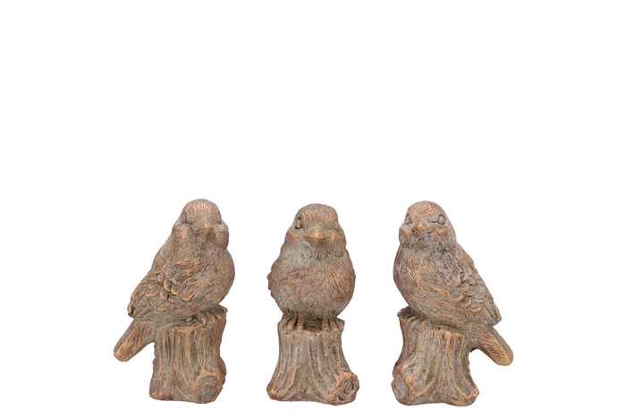 Concrete Golden Bird Ass 10x9x15cm