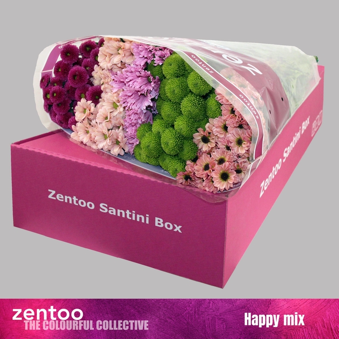 <h4>CHR S MIX HAPPY</h4>