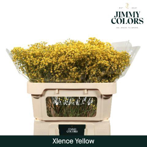 <h4>Gyps Xlence l70 Yellow</h4>