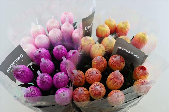 <h4>Chr G Kbh Antonov Mix</h4>