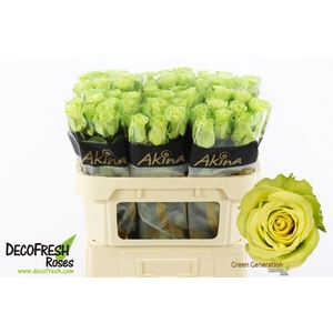 R Gr Green Generatio