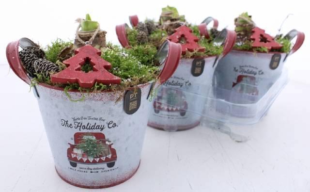 <h4>ARR BOL KNOLGEWAS</h4>