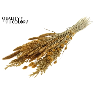 Dried Flower mix bunch Apricot