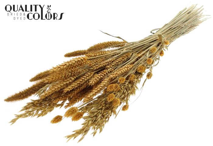 <h4>Dried Flower mix bunch Apricot</h4>