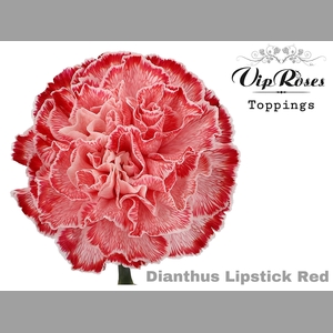 DI ST LIPSTICK RED